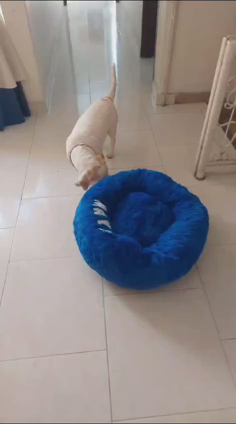 Camas para perro y gato Anti-estres - L