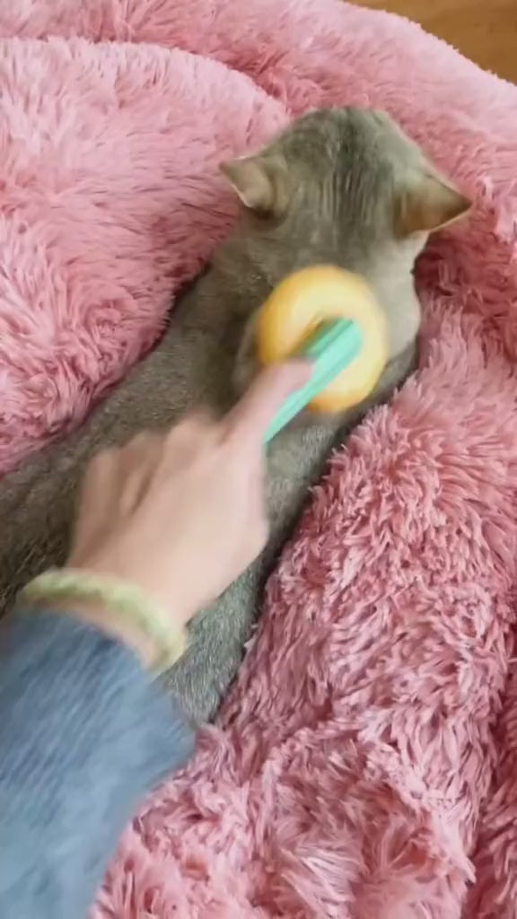 Peine para mascotas tipo Calabaza