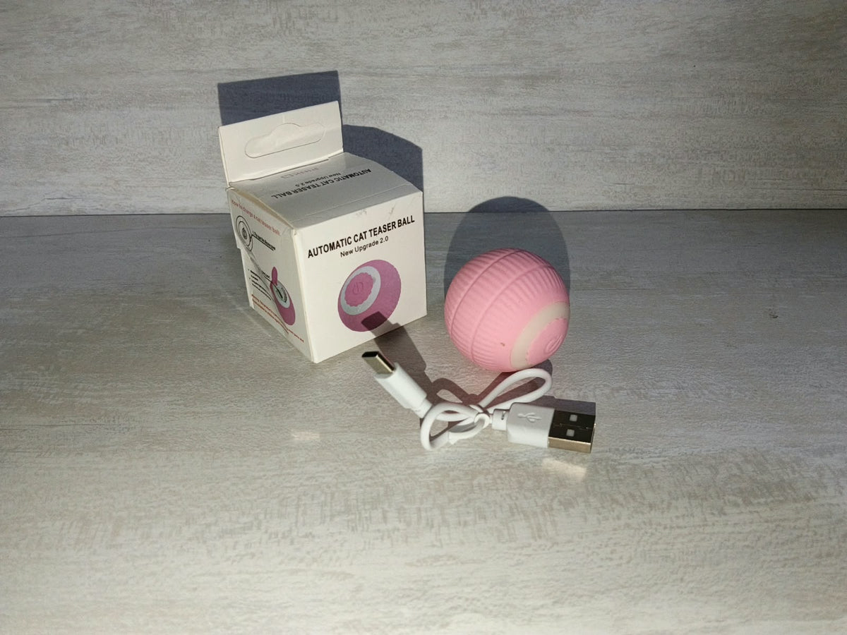 PELOTA LOCA RECARGABLE PARA MASCOТА